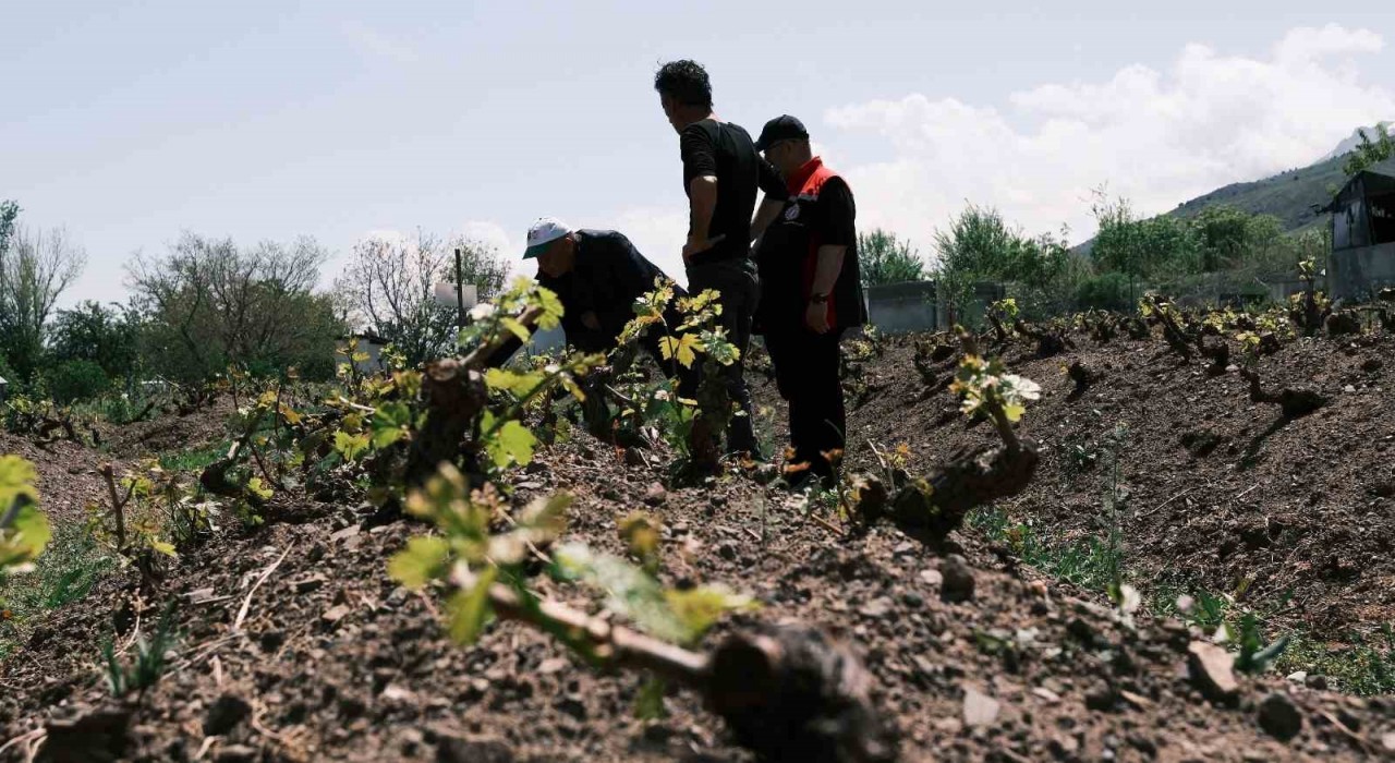 Erzincanda çiftçiler uyarılıyor