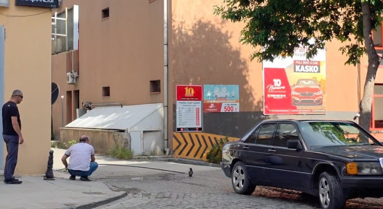 Erzincanda yavru kargayı vatandaşlar kurtardı