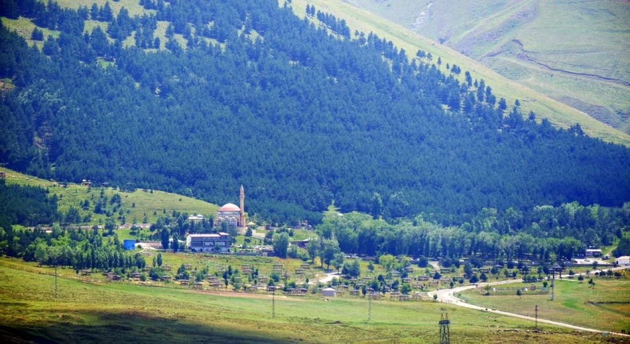 Erzurumda Orman Alanları, Ağaçlandırma ve Erozyon Kontrol Sahaları ile ilgili Valilik Genel Emri yayınlandı