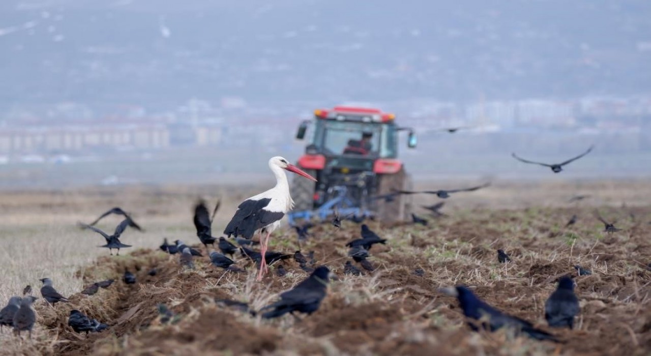 Erzurumda traktör ve motosiklet sayısında artış var