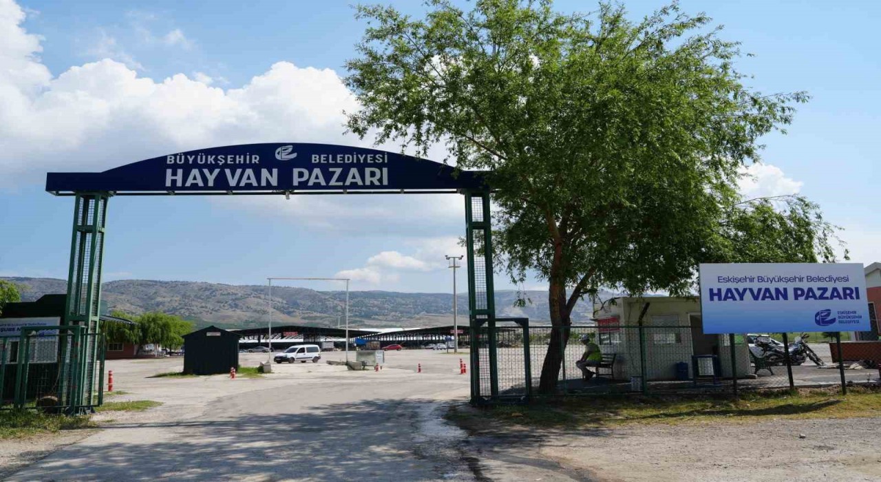 Eskişehir hayvan pazarı Kurban Bayramına hazır