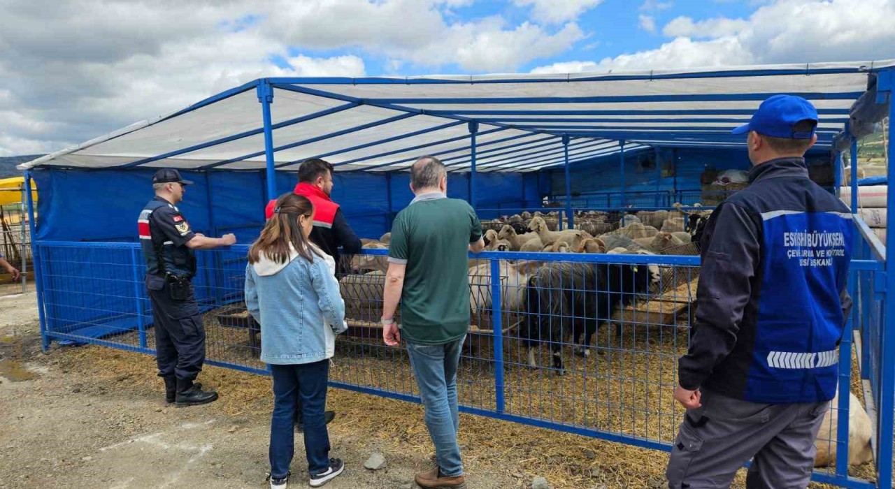 Eskişehir Kurban Satış Hayvan Pazarında denetim ve kontroller