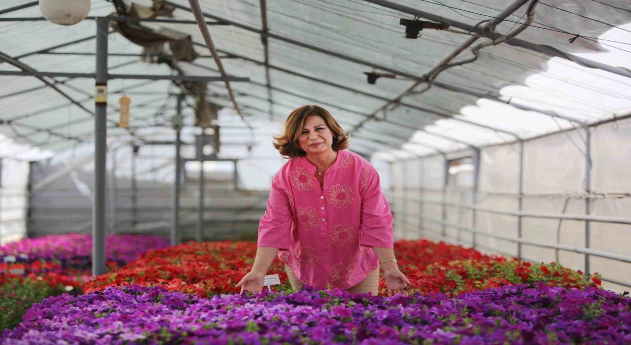 Eskişehiri süsleyecek 1 milyon çiçeğin üretimi Büyükşehirden