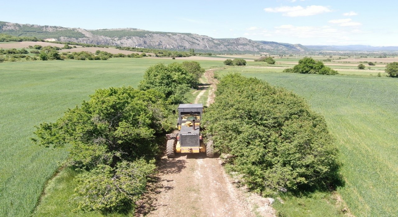 Eskişehirin İnönü ilçesinde tarla yolları sezona hazırlanıyor