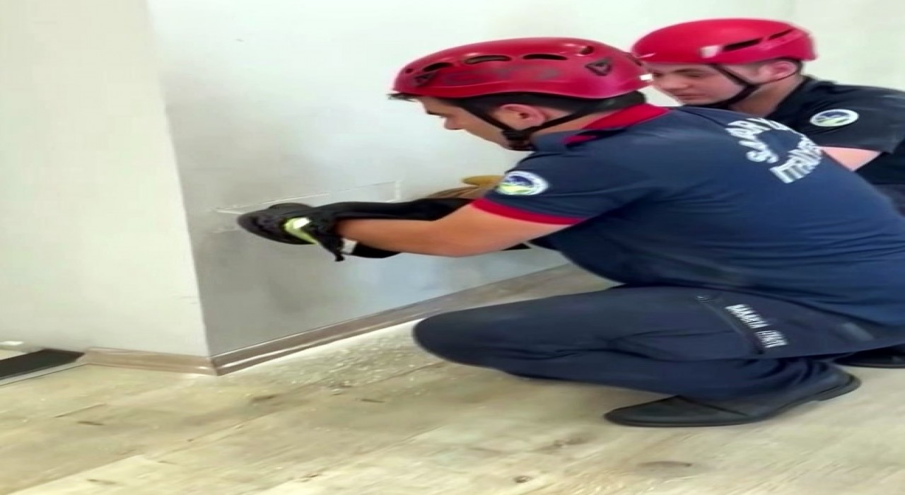 Fabrika duvarına sıkışan yavru kedinin imdadına itfaiye yetişti