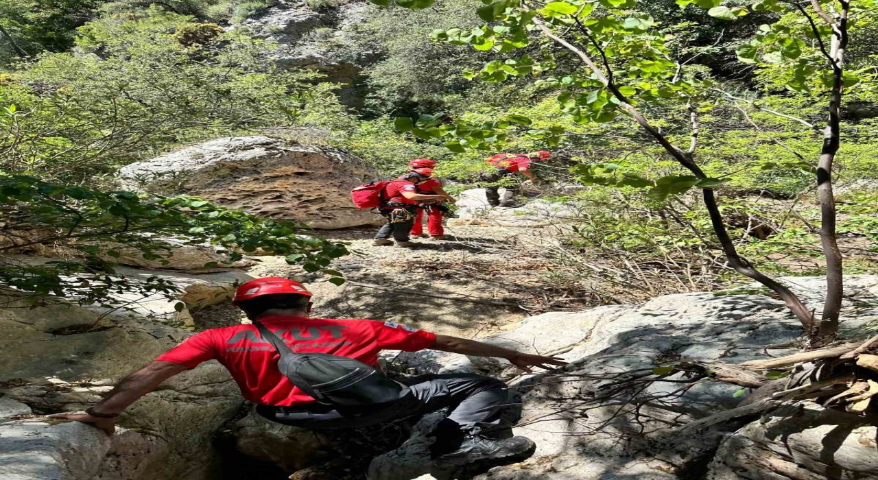 Fethiyede derede mahsur kalan köpek kurtarıldı
