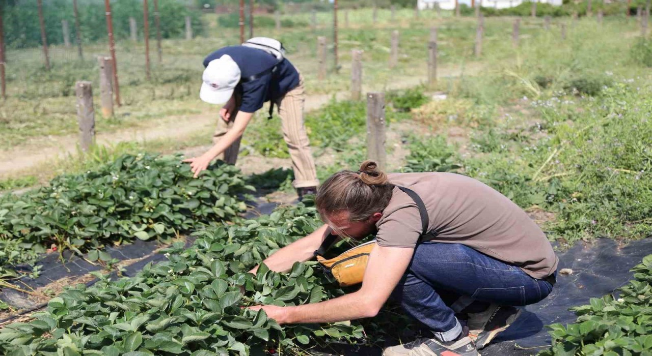 Fransadan gelip Nilüferin sağlıklı gıda politikalarını incelediler