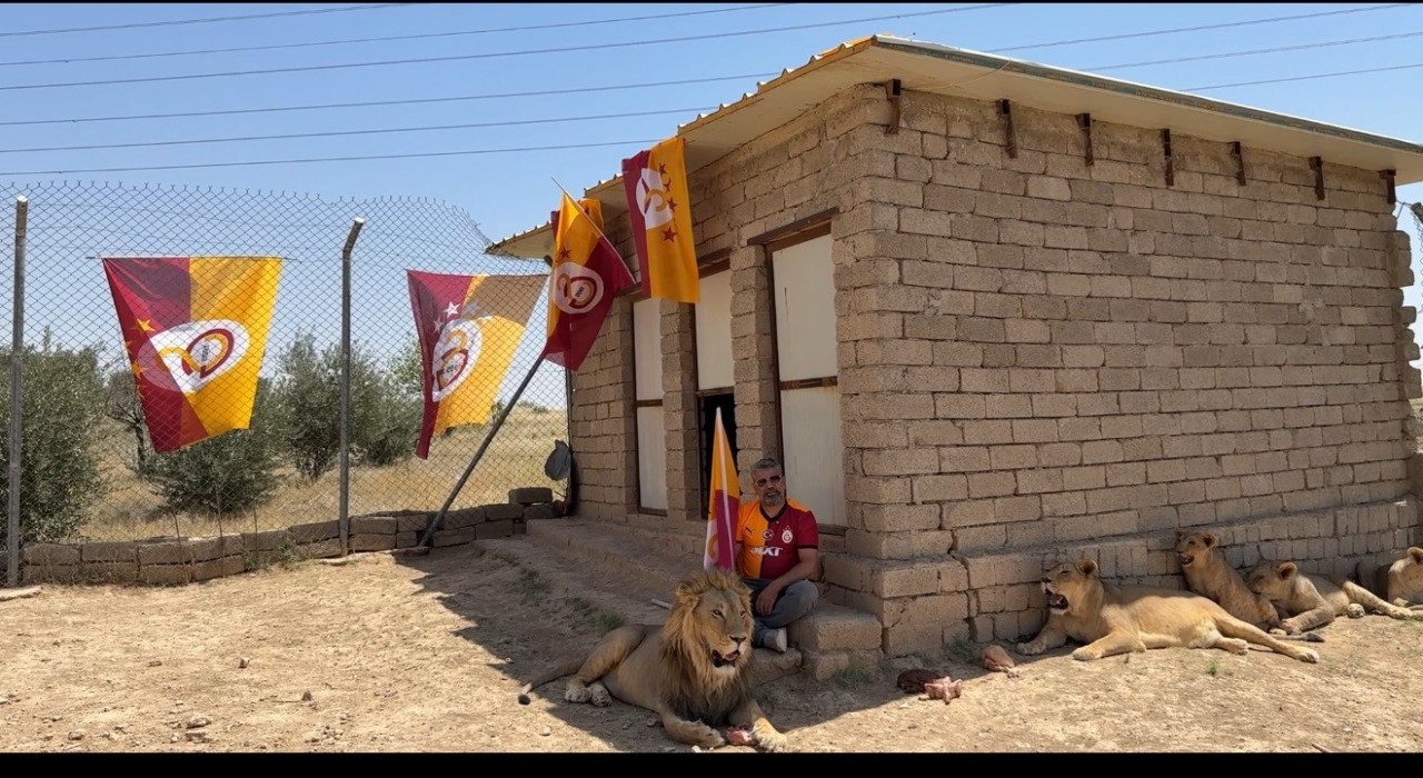 Galatasaraylı taraftar, şampiyonluğu aslanlarıyla kutladı