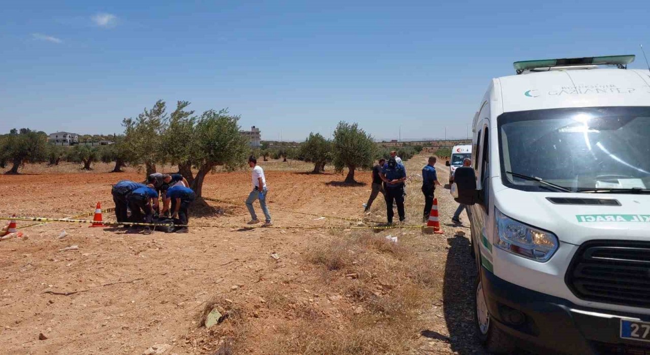 Gaziantepte bir genç zeytin tarlasında ölü bulundu