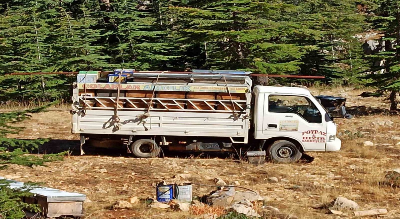Gazipaşada arıcıların yayla mesaisi başlıyor