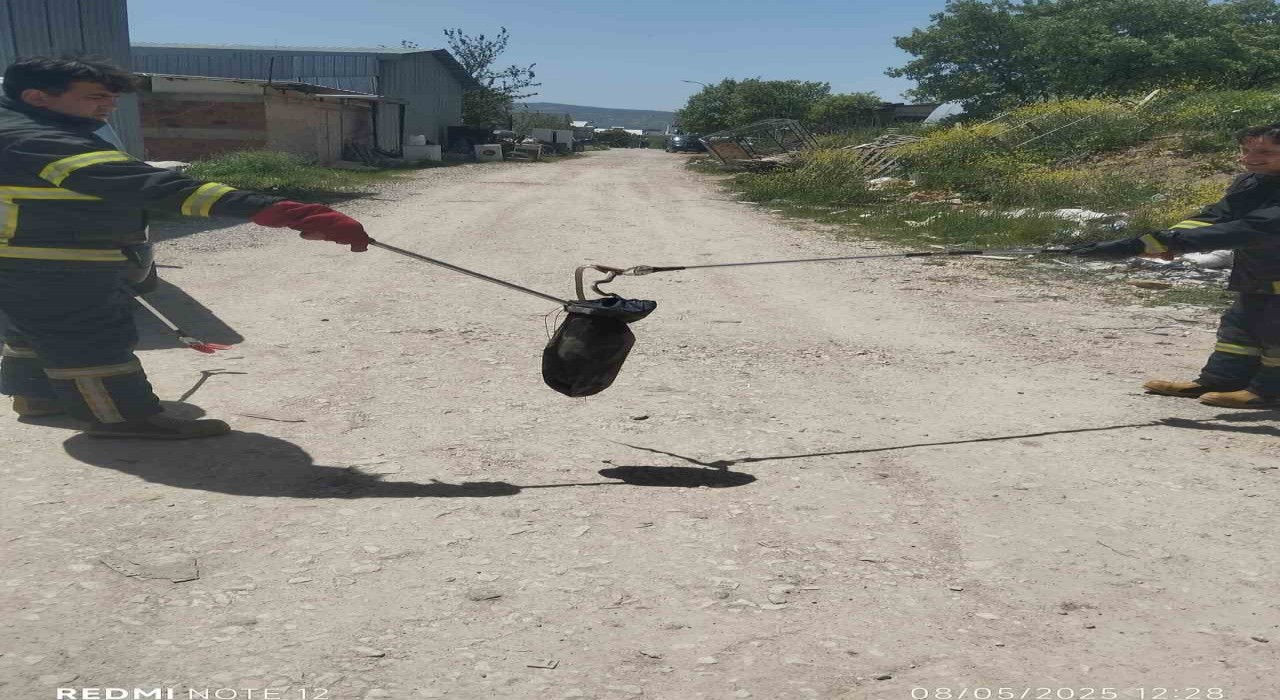 Gedizde baharın gelmesiyle yılanlar görülmeye başladı