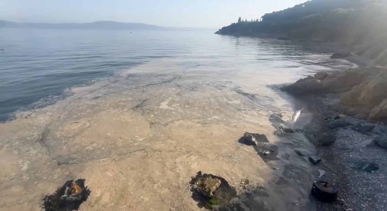 Gemlikte müsilaj paniği