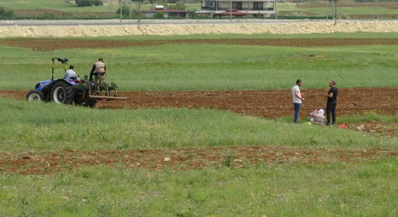 Gercüşte çiftçiler karpuz ve kavun tohumlarını ekmeye başladı