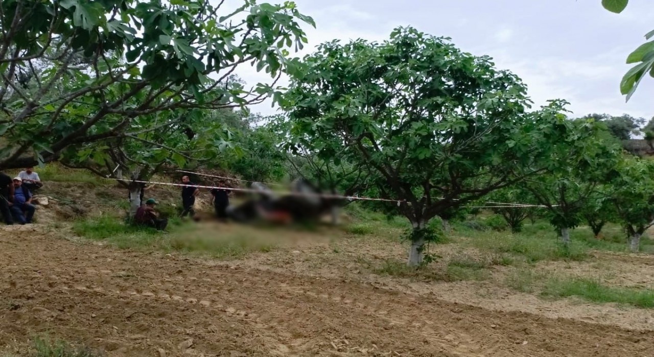 Germencikte devrilen traktörün altında kalan şahıs hayatını kaybetti