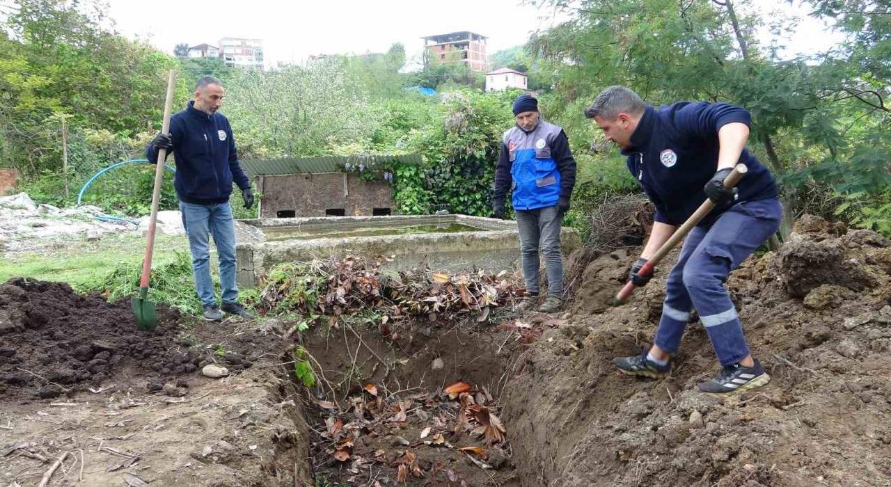 Giresunda balık atıkları gübre ve yeme dönüşüyor