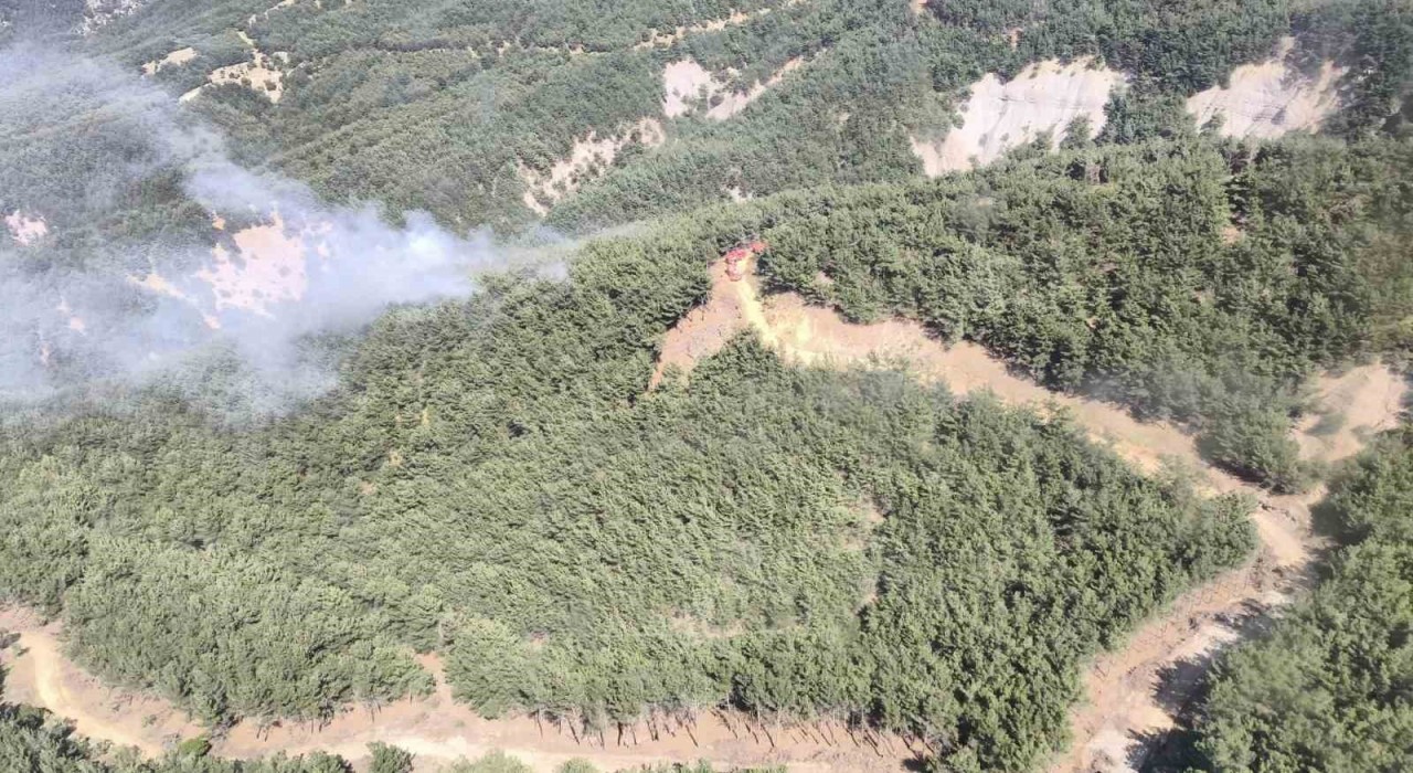Gökçeadada orman yangını