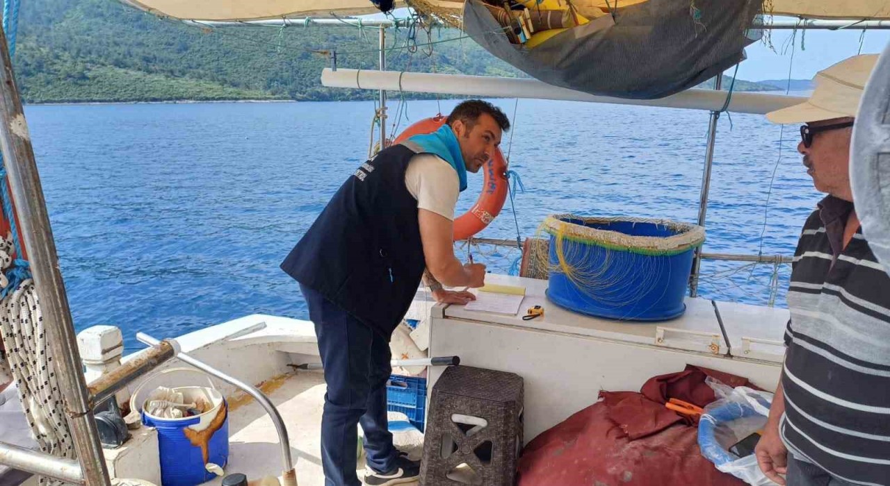 Gökova Körfezinde yasak av araçlarına el konuldu