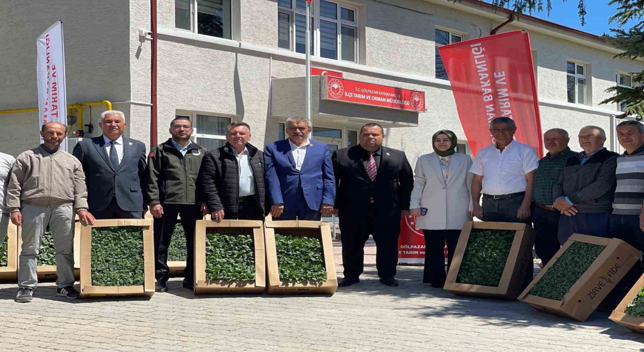 Gölpazarında yerli ve milli fide dağıtım programı gerçekleştirildi