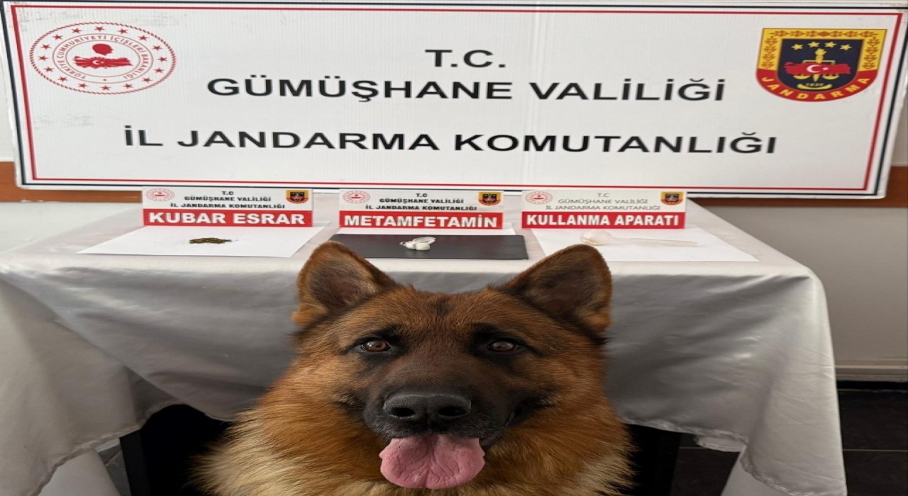 Gümüşhanede uyuşturucu operasyonu