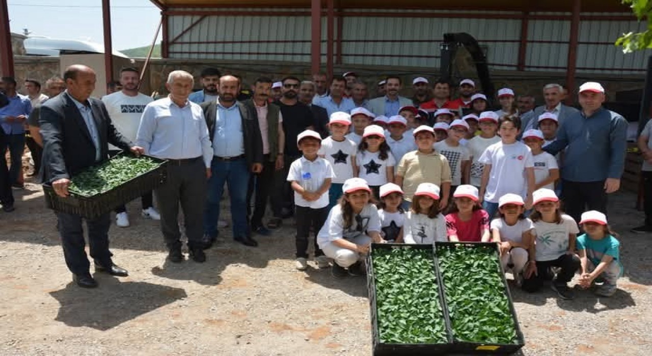 Güroymakta fide ve tohum dağıtımı yapıldı