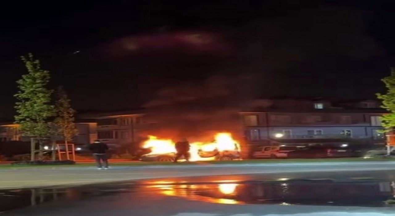 Hafif ticari araç alev topuna döndü