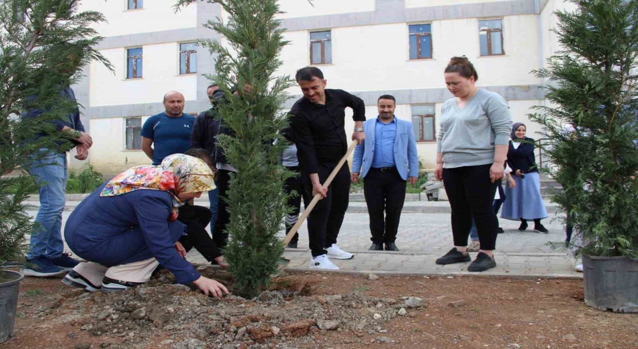 Hakkaride fidan dikimi