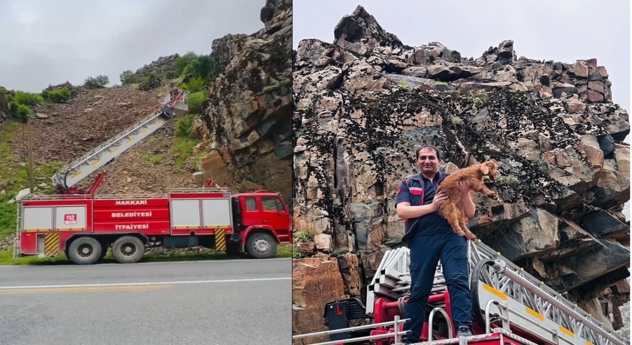 Hakkaride kayalıklarda mahsur kalan keçi yavrusu kurtarıldı
