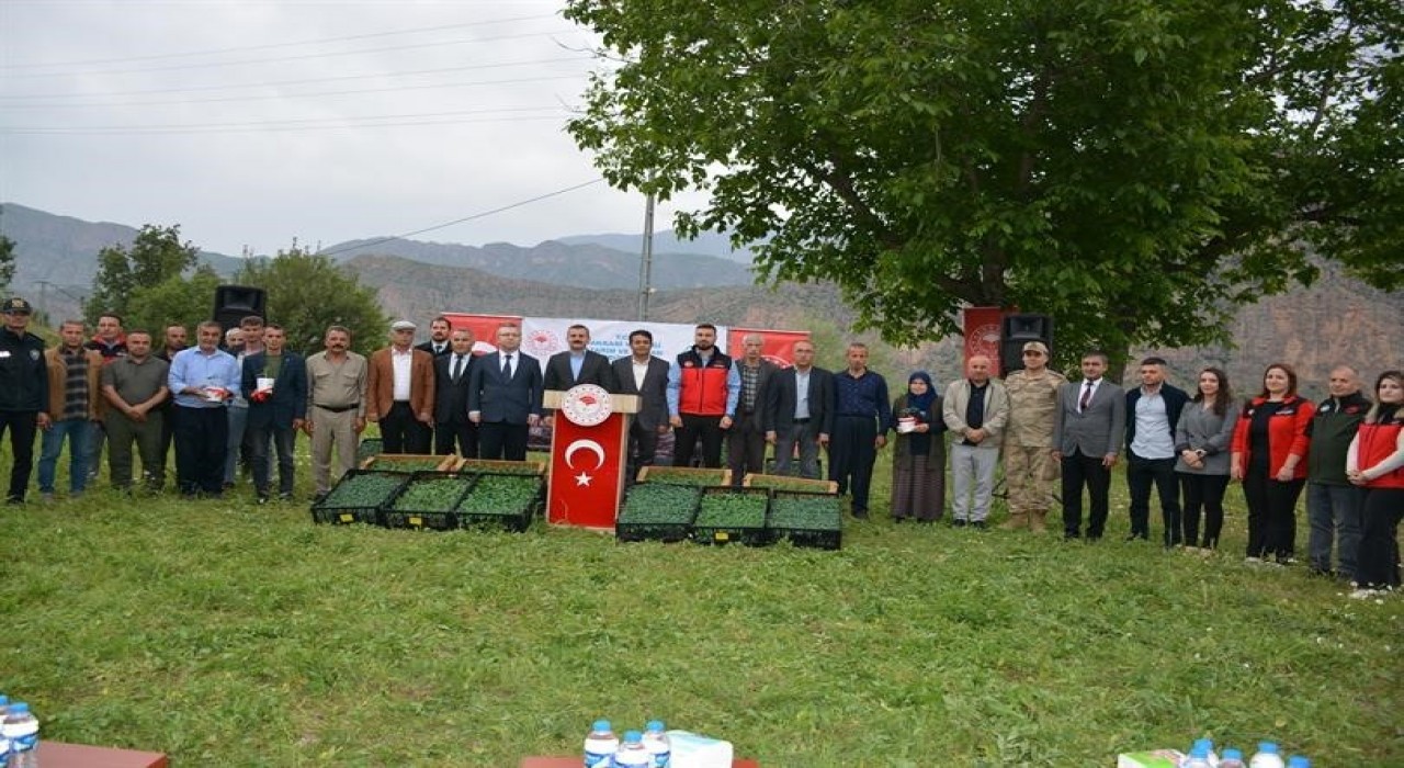 Hakkaride üreticiye fide desteği
