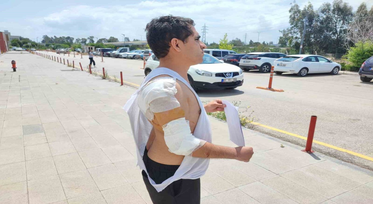 Hastaneye giderken kurt köpeğinin saldırısıyla yaralandı