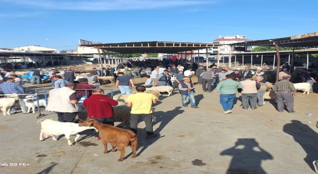 Havranda Kurban Bayramı öncesi hayvan pazarı denetlendi