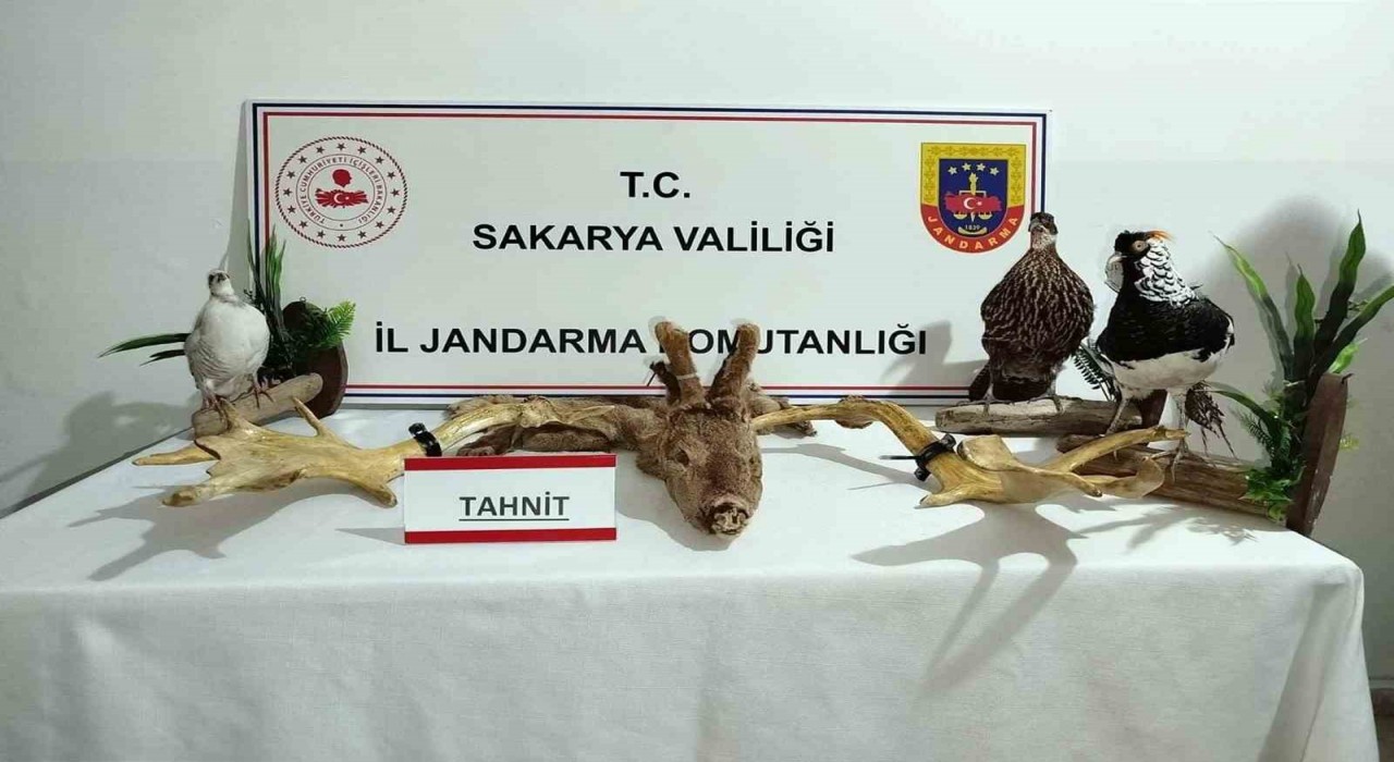 Hayvanat bahçesi gibi ev: Evinden çıkanlar hayrete düşürdü