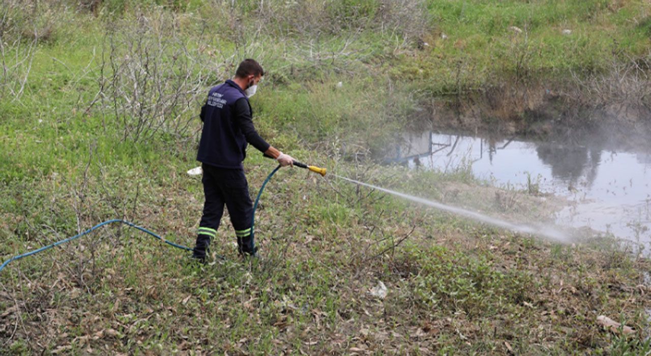 HBB Yaz Aylarında Haşerelere Karşı İlaçlama Faaliyetlerini Arttırdı