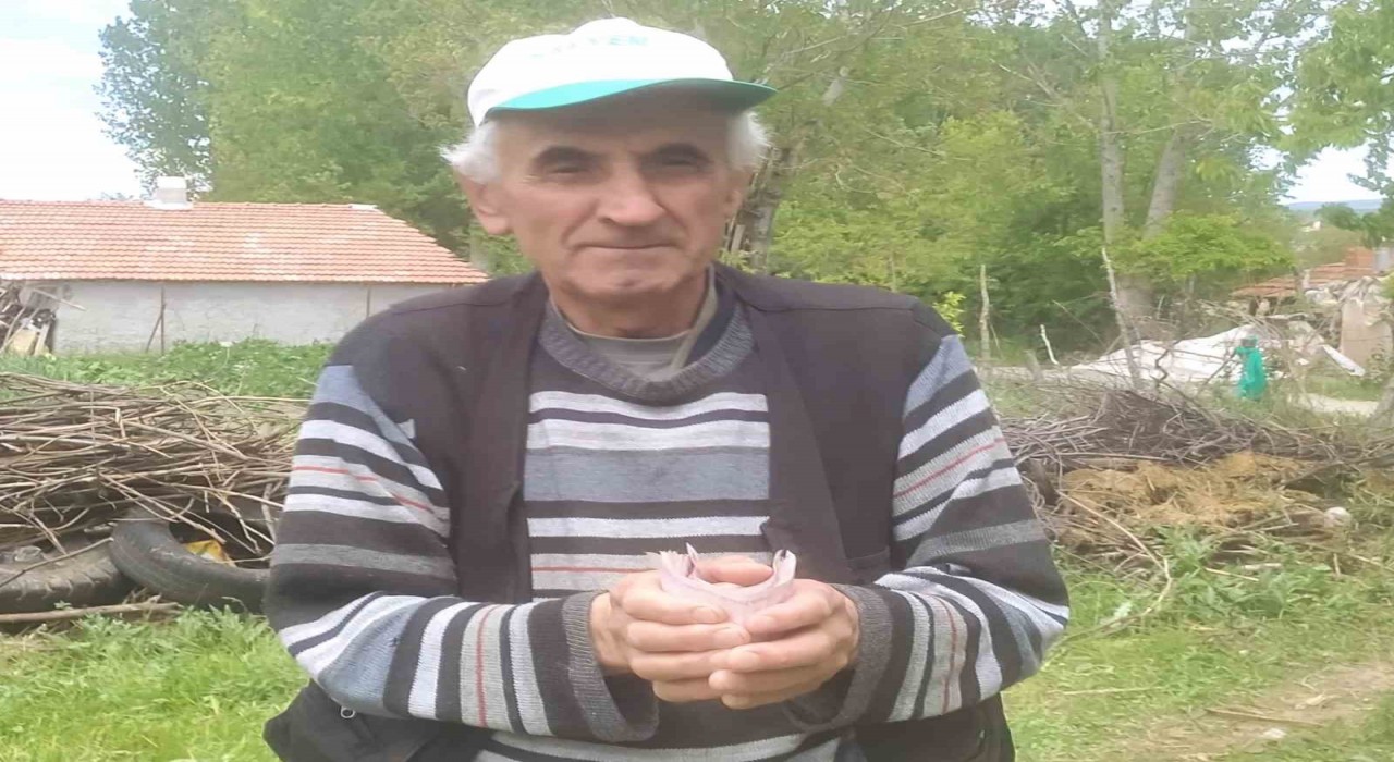 Hisarcıkta emekli işçiden İnsanlık Ölmemiş dedirten davranış: Bulduğu bir tomar parayı jandarmaya teslim etti