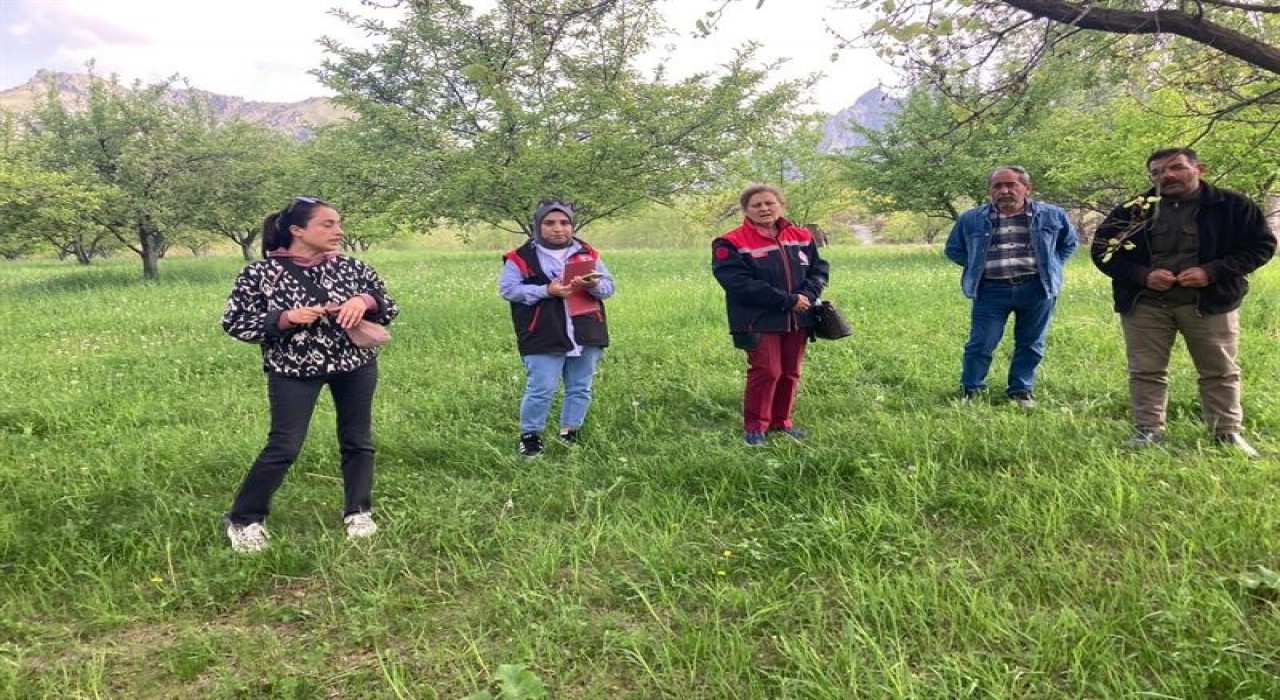 Iğdırda meyve bahçelerinde hastalık ve zararlılarla mücadele toplantısı gerçekleştirildi