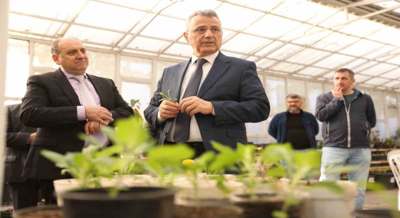 İlkadımda aromatik bitkiler yaygınlaşıyor