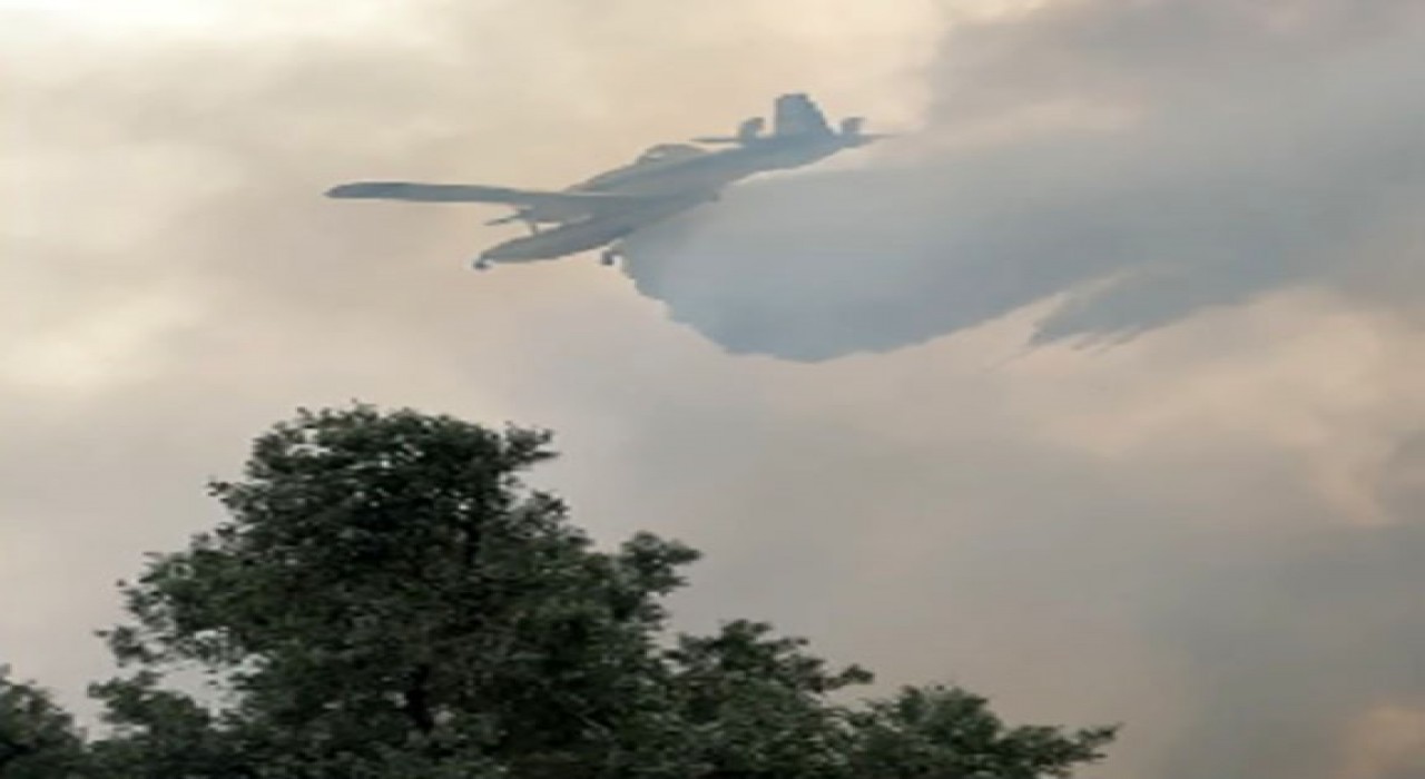 İzmirde zeytinlik alandaki yangın kontrol altında