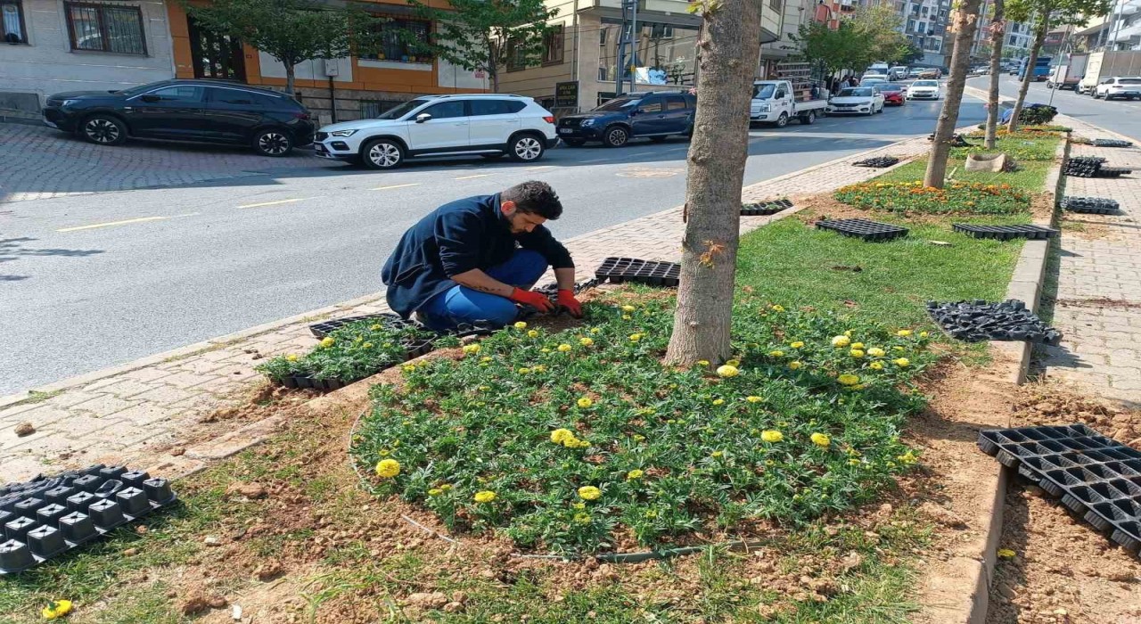 Kağıthanede yeşil alanlarda bakım çalışması yapıldı