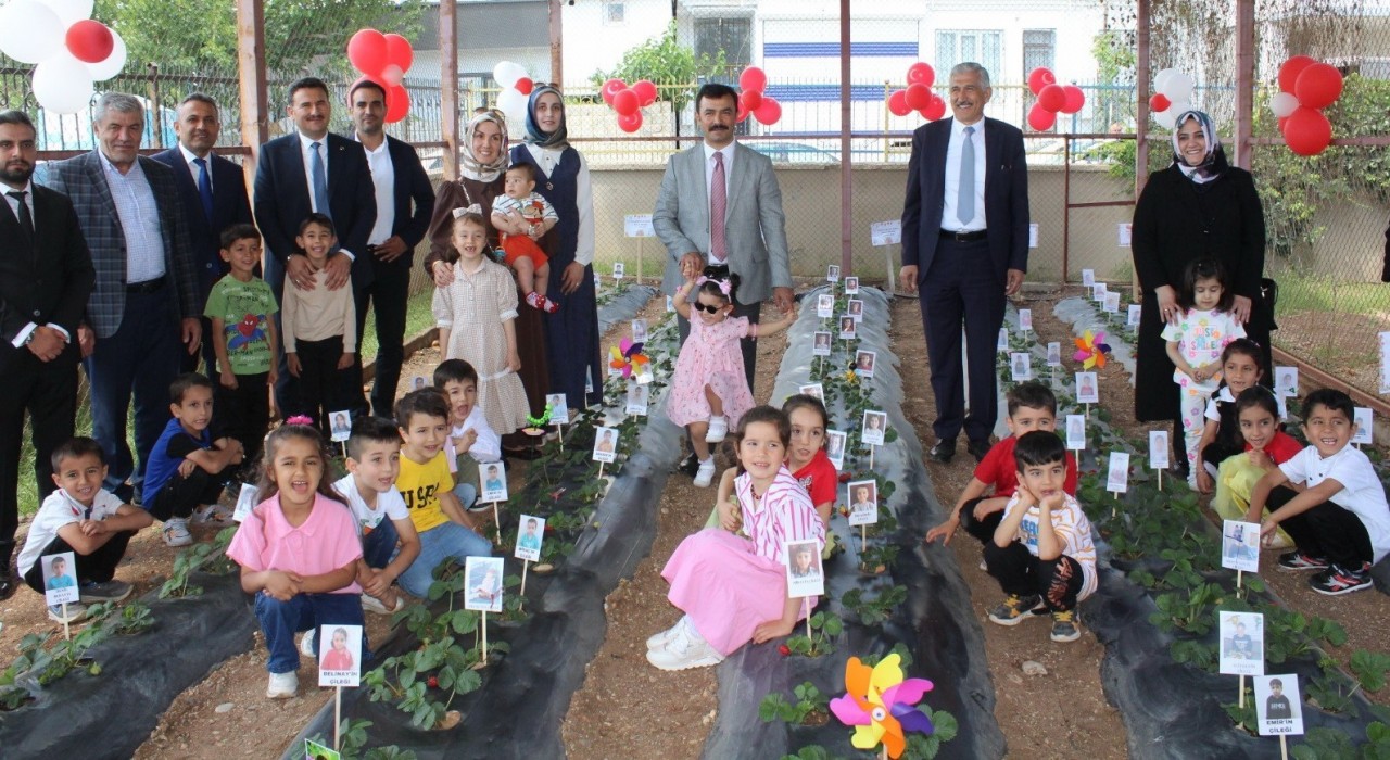 Kahtada miniklerden çilek hasadı