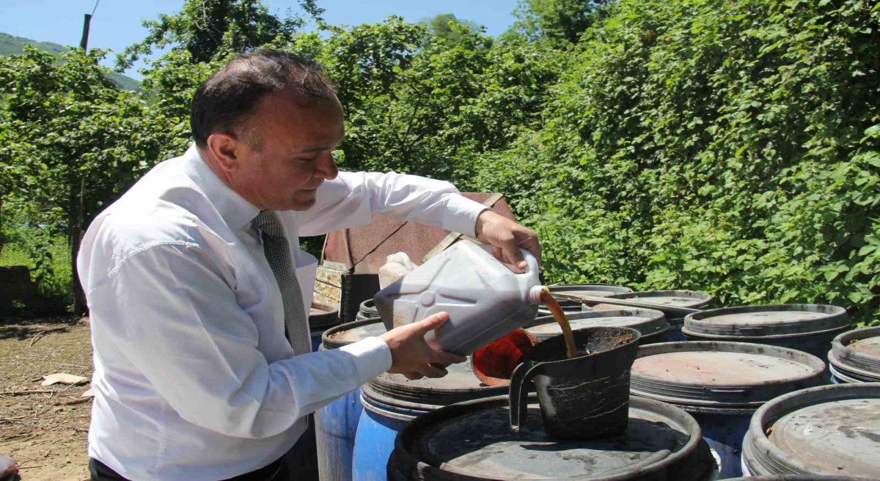 Kahverengi kokarcaya sıvı balık gübreli önlem
