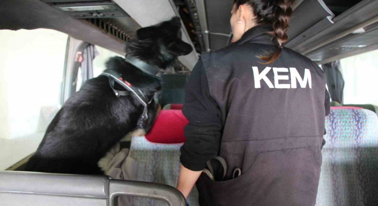 Kapıkulede 77 kilo ecstacy ele geçirildi