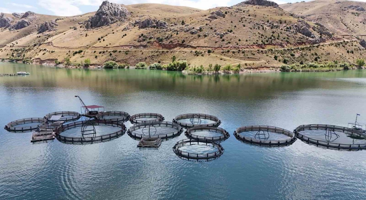 Kar suyu ve yağmur barajlara bereket oldu