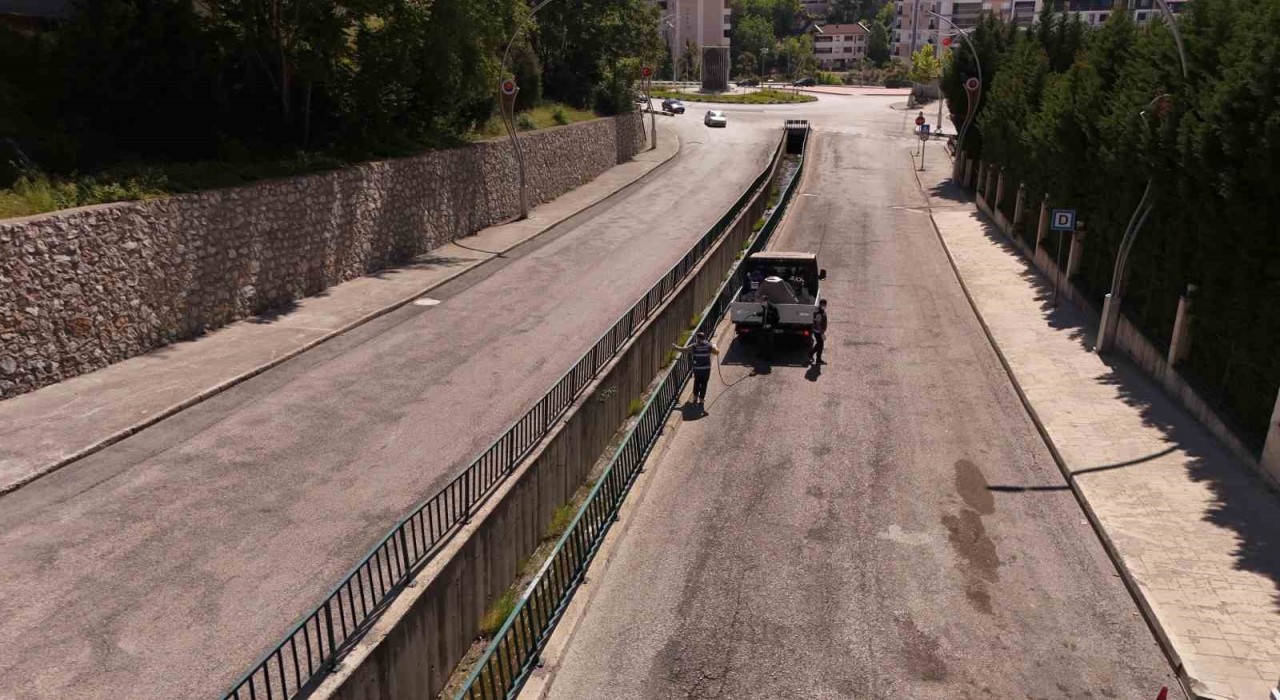 Karabük Belediyesinden ilaçlama çalışması