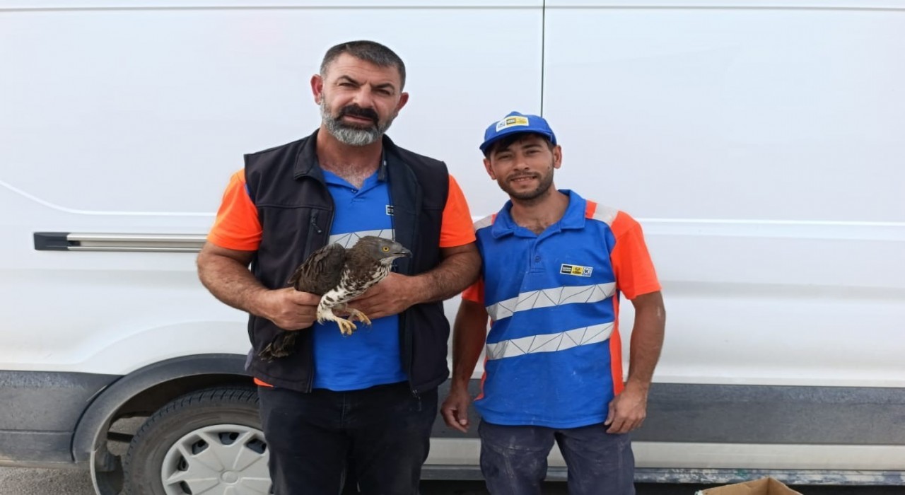 Karapınarda yaralı kızıl şahine şefkat eli