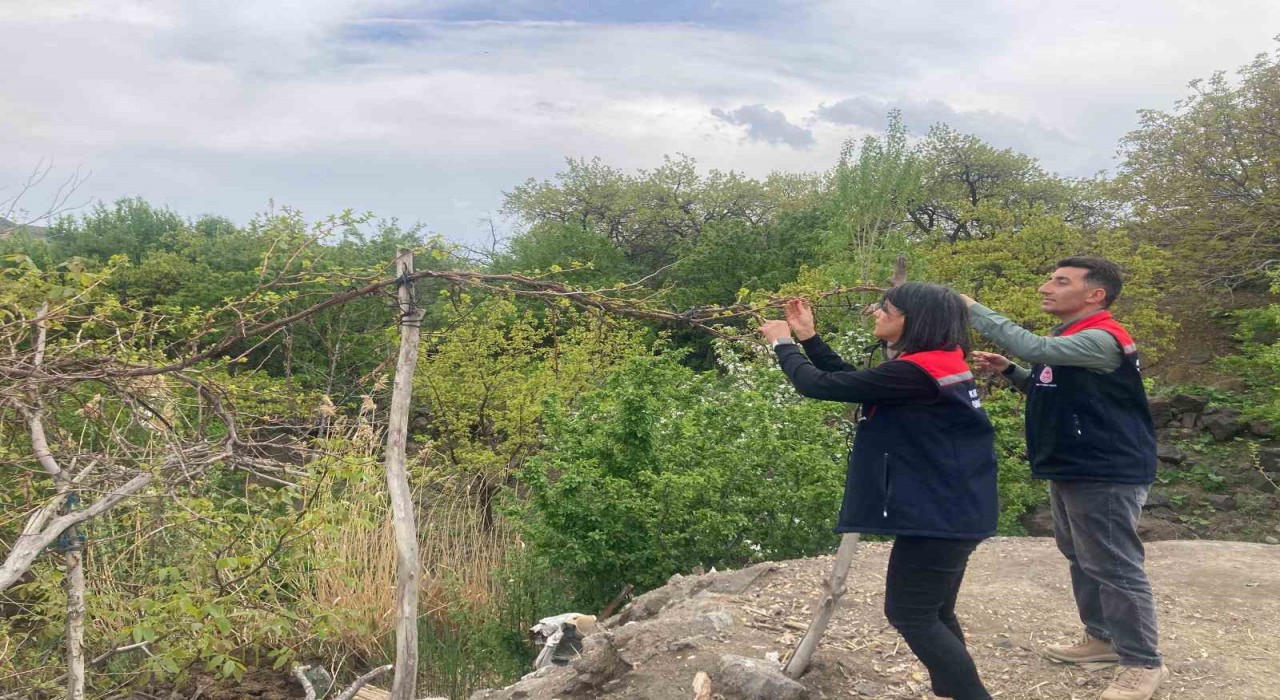 Karsta hasat öncesi pestisit kullanımı eğitimi