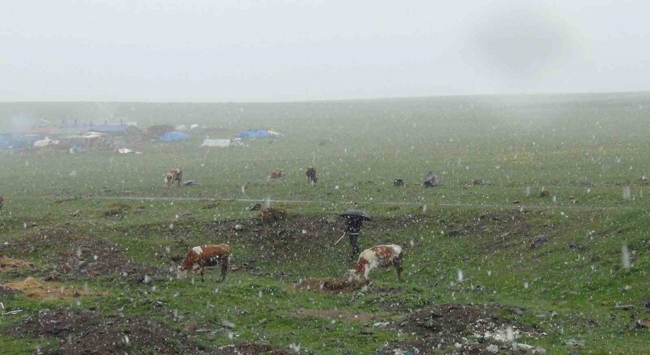 Karsta Mayıs karı şaşırttı