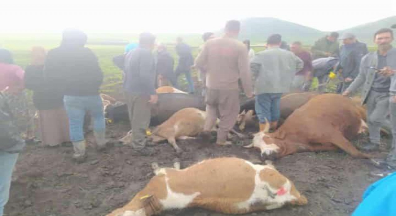 Karsta sürünün üzerine yıldırım düştü: 2 çoban yaralandı, 10 hayvan telef oldu