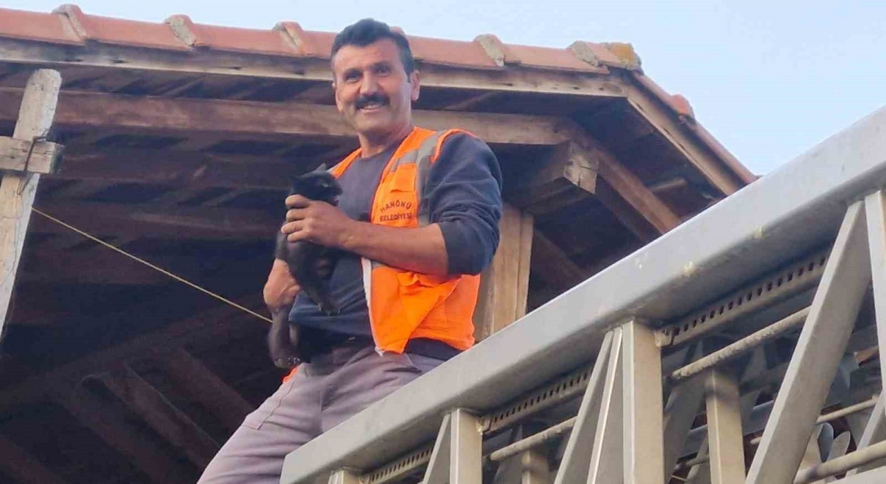Kastamonuda evin çatısında mahsur kalan kediyi itfaiye ekipleri kurtardı