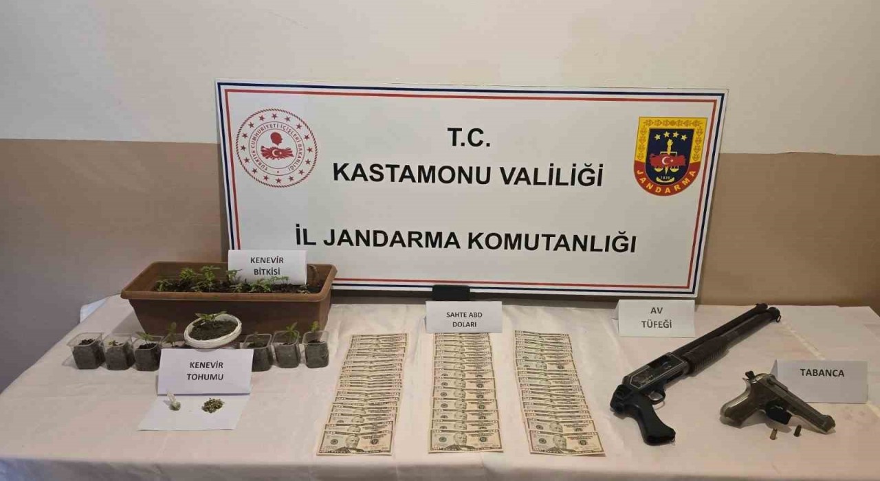 Kastamonuda uyuşturucu operasyonu: 1 gözaltı