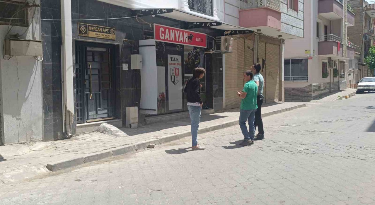 Kediyi pompalı tüfekle öldürdü serbest kaldı