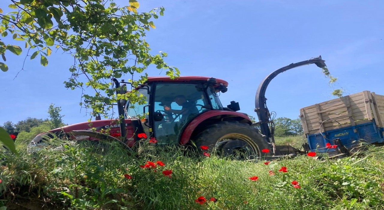 Kendi slajını üretti, süt veriminde rekor artış sağladı